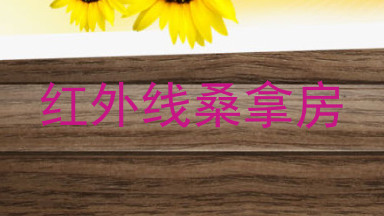 红外线桑拿房