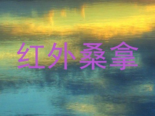 红外桑拿