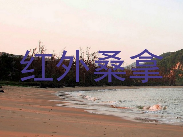 红外桑拿