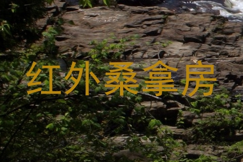 红外桑拿房