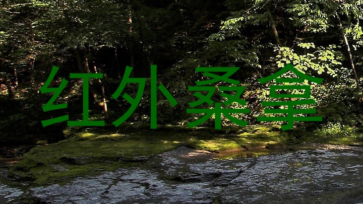 红外桑拿