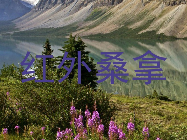 红外桑拿