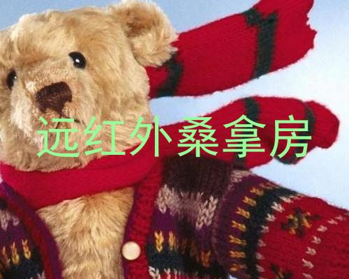 远红外桑拿房