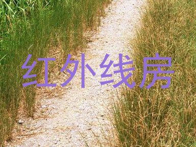 红外线房
