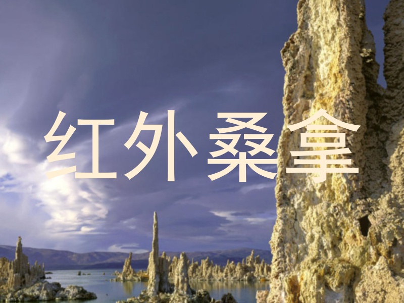 红外桑拿
