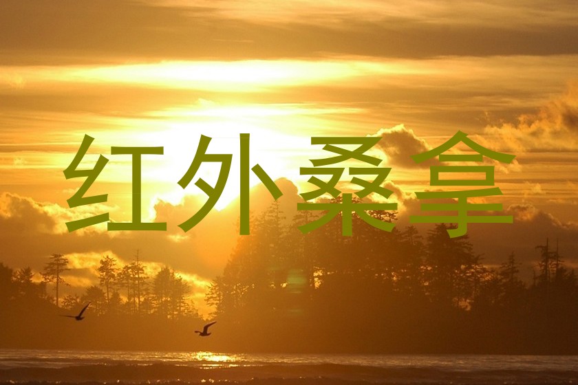 红外桑拿