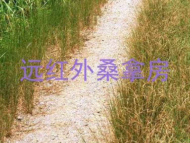 远红外桑拿房