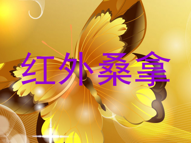 红外桑拿
