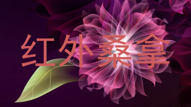 红外桑拿