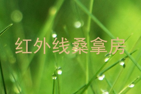 红外线桑拿房