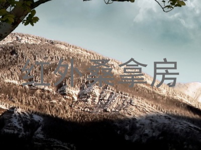 红外桑拿房