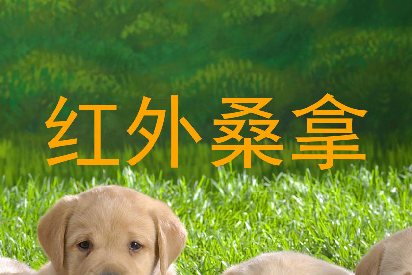 红外桑拿