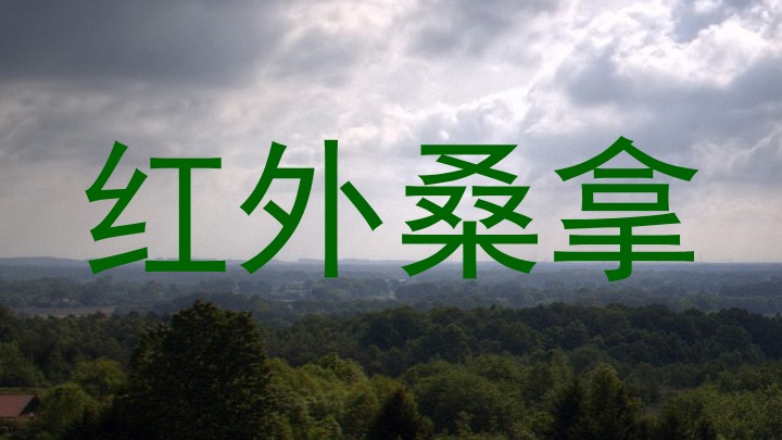 红外桑拿