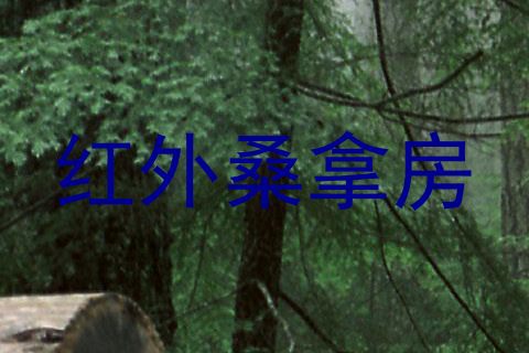 红外桑拿房