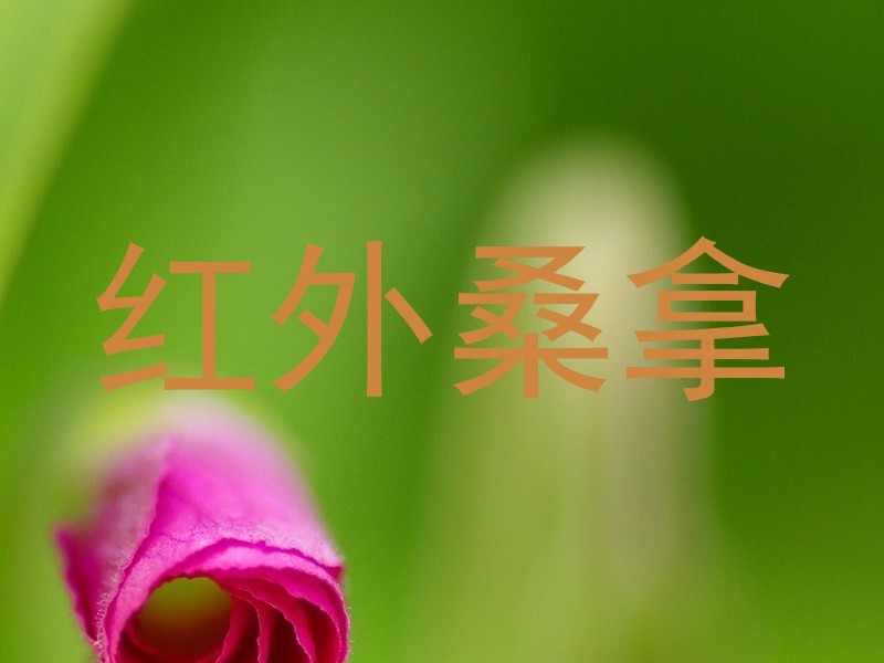 红外桑拿