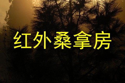 红外桑拿房