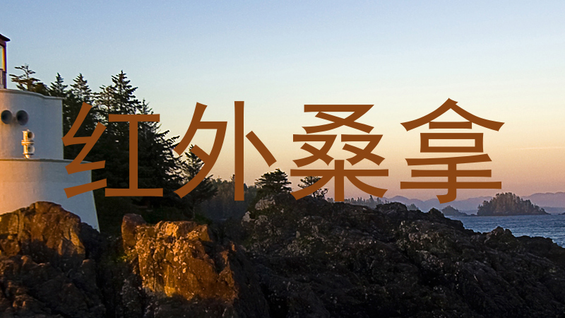 红外桑拿