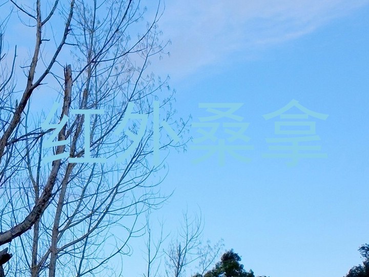 红外桑拿