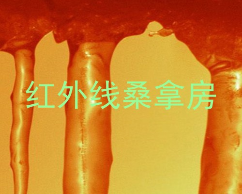 红外线桑拿房