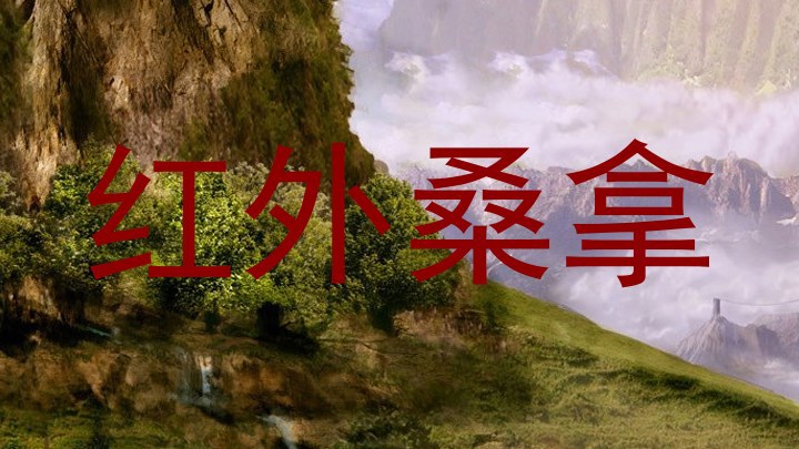 红外桑拿