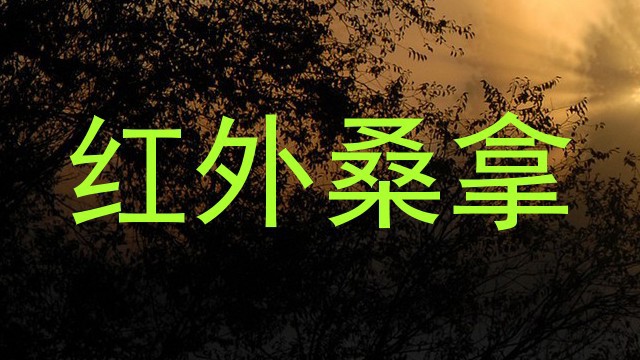 红外桑拿