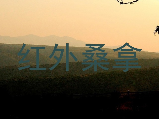 红外桑拿