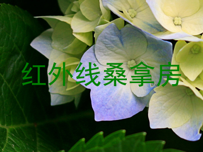 红外线桑拿房