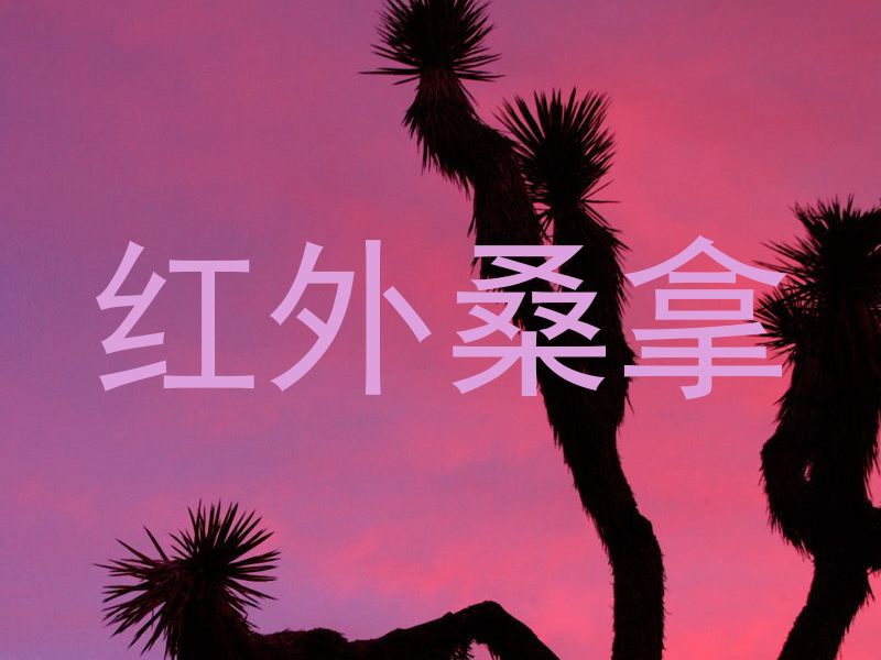 红外桑拿