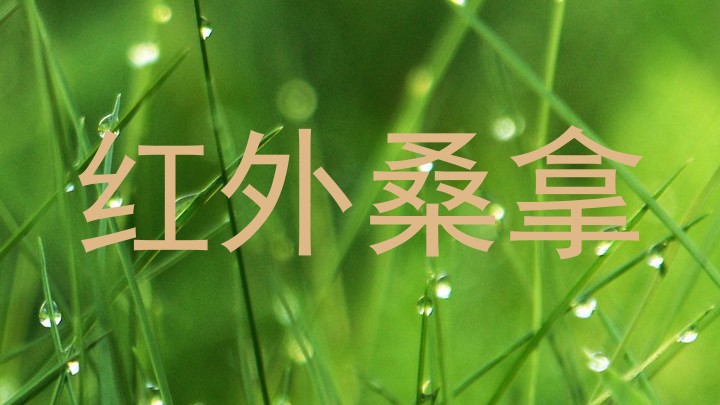 红外桑拿