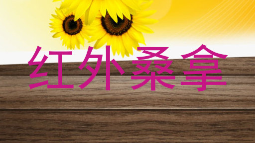 红外桑拿