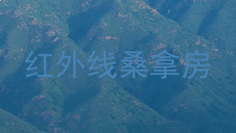 红外线桑拿房