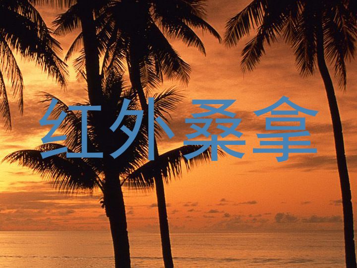 红外桑拿