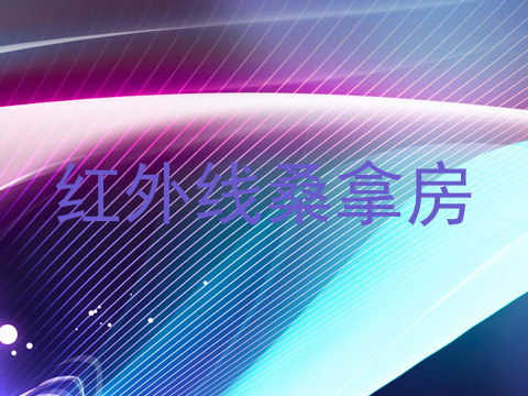 红外线桑拿房