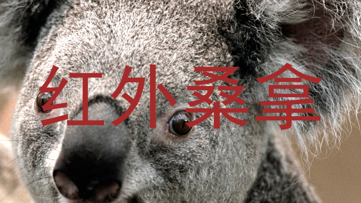 红外桑拿