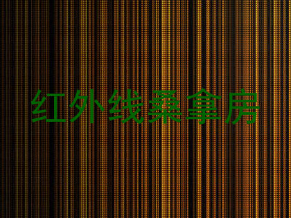 红外线桑拿房