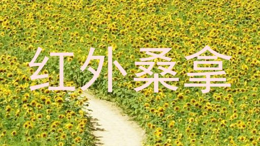 红外桑拿