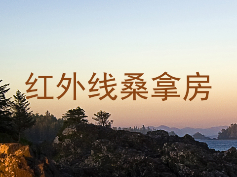 红外线桑拿房