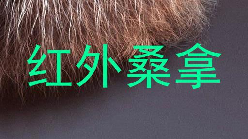 红外桑拿