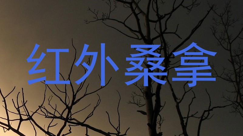 红外桑拿