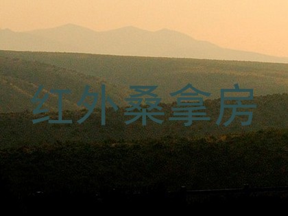 红外桑拿房