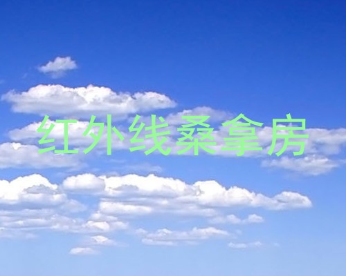 红外线桑拿房