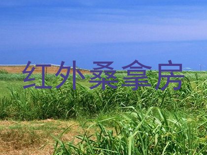 红外桑拿房