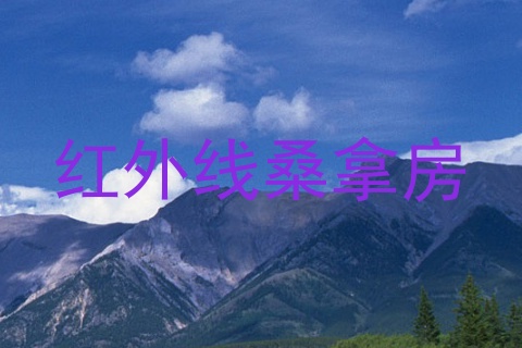 红外线桑拿房