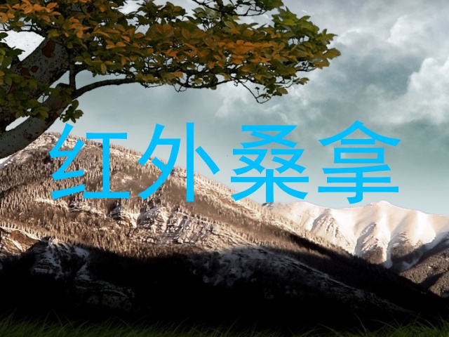 红外桑拿