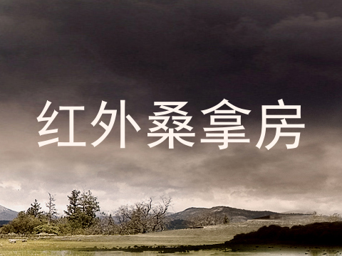 红外桑拿房