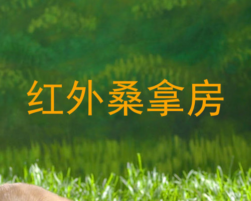 红外桑拿房