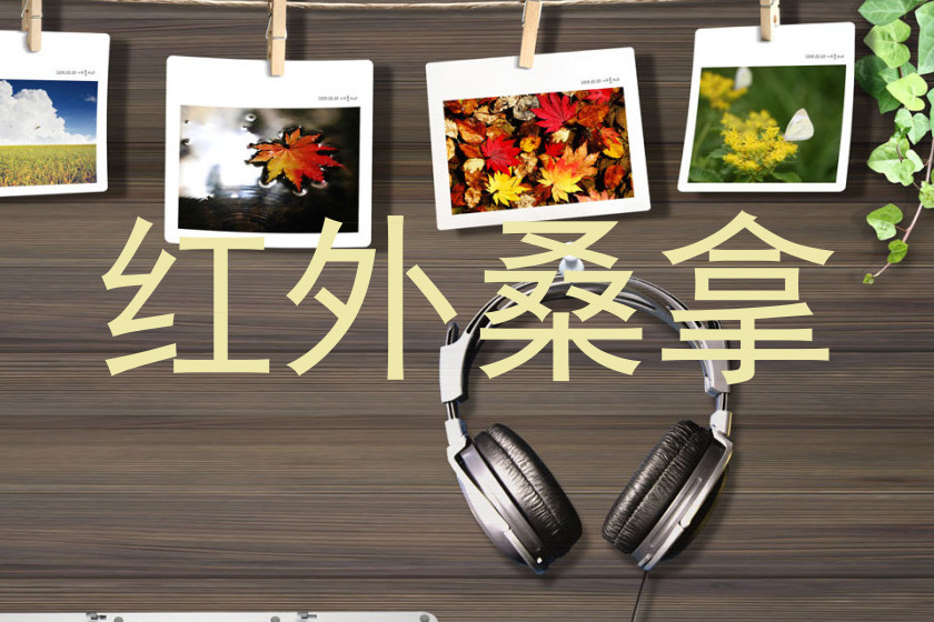 红外桑拿