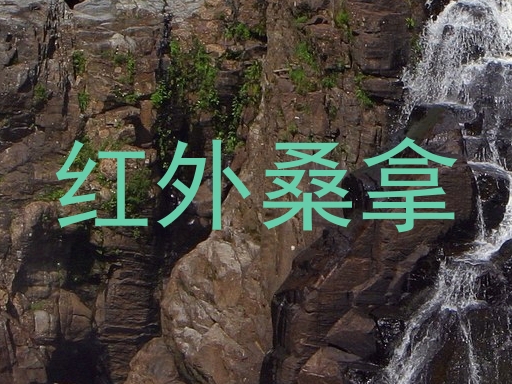 红外桑拿