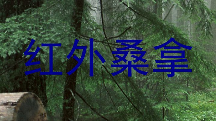 红外桑拿