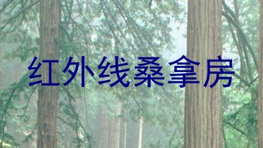 红外线桑拿房